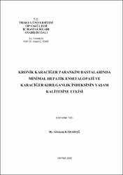 Küçük Resim