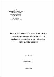 Küçük Resim
