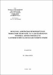 Küçük Resim
