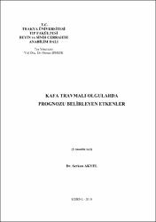 Küçük Resim