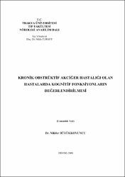 Küçük Resim