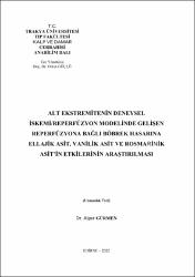 Küçük Resim
